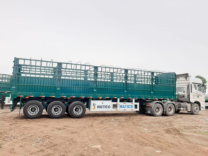 vận tải móc lồng – móc sàn